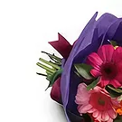 Somerset West flowers  -  A New Day Flower Bouquet/Arrangement
