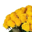 Bulgarien Blumen Florist- Sonnenaufgang Bouquet/Blumenschmuck