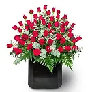 El Rincon flowers  -  Winter fresh Flower Bouquet/Arrangement