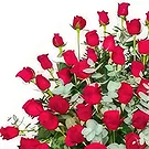 El Rincon flowers  -  Winter fresh Flower Bouquet/Arrangement
