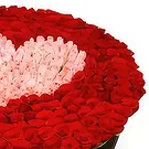 El Rincon flowers  -  Rose World  Flower Bouquet/Arrangement