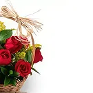 Brazil flowers  -  Softness Flower Bouquet/Arrangement
