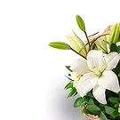 Brazil flowers  -  Inside Happiness Flower Bouquet/Arrangement