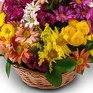 Brazil flowers  -  Welcotti Flower Bouquet/Arrangement