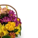 Brazil flowers  -  Welcotti Flower Bouquet/Arrangement