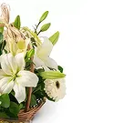 Brazil flowers  -  Sweet gift Flower Bouquet/Arrangement