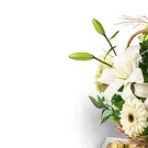 Brazil flowers  -  Sweet gift Flower Bouquet/Arrangement