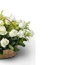 Brazil flowers  -  MIOLO Flower Bouquet/Arrangement