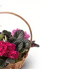 Brazil flowers  -  Unique Flower Bouquet/Arrangement