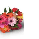 Santa Maria da Boa Vista flowers  -  Amish Flower Bouquet/Arrangement