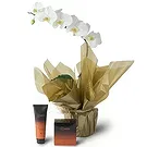 Santa Maria da Boa Vista flowers  -  Lovely Creations Flower Bouquet/Arrangement