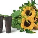 Santa Maria da Boa Vista flowers  -  Shiny Gift Flower Bouquet/Arrangement