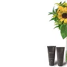 Santa Maria da Boa Vista flowers  -  Smiles for Miles Flower Bouquet/Arrangement