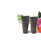 Santa Maria da Boa Vista flowers  -  Present Day Flower Bouquet/Arrangement
