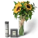 Santa Maria da Boa Vista flowers  -  Dreamica Flower Bouquet/Arrangement