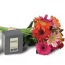 Santa Maria da Boa Vista flowers  -  Blossom Gift Baskets Flower Bouquet/Arrangement