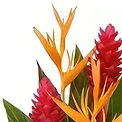 Nakorotubu blommor- Färgburst Bukett/blomsterarrangemang