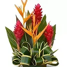 Nakorotubu blommor- Färgburst Bukett/blomsterarrangemang