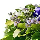 Nakorotubu blommor- Tyst grön Bukett/blomsterarrangemang