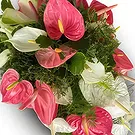 Nakorotubu blommor- Drömland Bukett/blomsterarrangemang