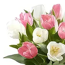 Buangkok flowers  -  Serene Bouquet Flower Bouquet/Arrangement