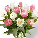 Buangkok flowers  -  Serene Bouquet Flower Bouquet/Arrangement