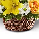 Buangkok flowers  -  Sunniness Kiss Flower Bouquet/Arrangement