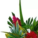 Nakorotubu blommor- Kungligt val Bukett/blomsterarrangemang