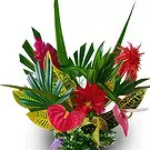 Nakorotubu blommor- Kungligt val Bukett/blomsterarrangemang