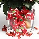 Buangkok flowers  -  Merry Floral Pot Flower Bouquet/Arrangement