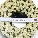 Adma flowers  -  Wreath expand Flower Bouquet/Arrangement