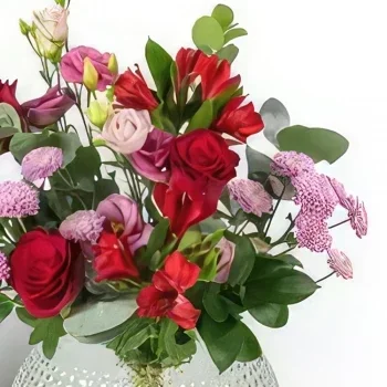 Bergen rože- Pink Red Elegance Cvet šopek/dogovor