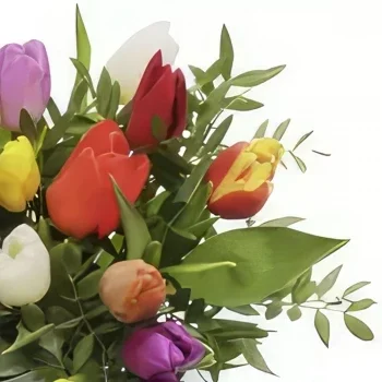 ดอกไม้ ออสโล - สายรุ้งแห่งดอกทิวลิป ช่อดอกไม้/การจัดวางดอกไม้