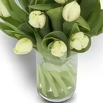 ดอกไม้ ออสโล - ดอกทิวลิปสีขาวเหนือกาลเวลา ช่อดอกไม้/การจัดวางดอกไม้