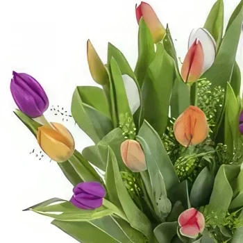بائع زهور أوسلو- توليب فيوجن أنيق باقة الزهور