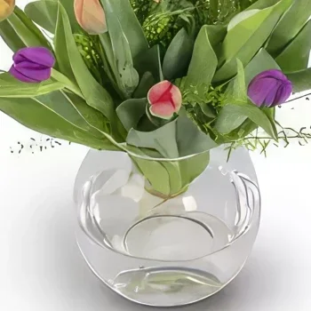 ดอกไม้ ออสโล - ทิวลิปฟิวชั่นที่หรูหรา ช่อดอกไม้/การจัดวางดอกไม้
