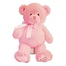 Nowosibirsk Blumen Florist- Pink Teddy Bear Bouquet/Blumenschmuck