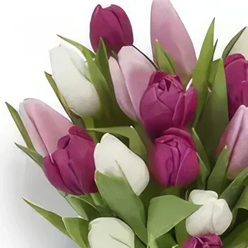 ดอกไม้ ออสโล - สีชมพูกลีบบัว ช่อดอกไม้/การจัดวางดอกไม้