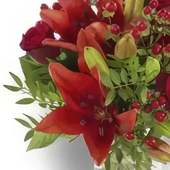 Bergen rože- Rdeča romantika Cvet šopek/dogovor