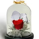 Buangkok flowers  -  Endless Joy Flower Bouquet/Arrangement