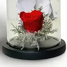 Buangkok flowers  -  Endless Joy Flower Bouquet/Arrangement