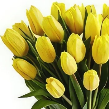 לידס פרחים- יום נפלא זר פרחים/סידור פרחים