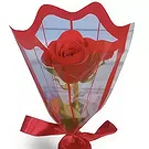 Adma flowers  -  Red  Gift  Flower Bouquet/Arrangement