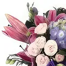 Garhoud flowers  -  Sensuous Flowers Flower Bouquet/Arrangement
