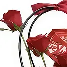 Adma flowers  -  Universe  Flower Bouquet/Arrangement