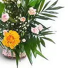 Amiret Hajjaj flori- Garoafe galbene Buchet/aranjament floral