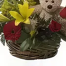 セント・デイビッド 花- トロピカルベアバスケット 花束/フラワーアレンジメント