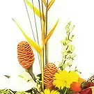 Friendship flowers  -  Fruit and Flowers Flower Bouquet/Arrangement