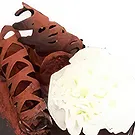 Cho Dok blomster- Chocolatier Blomst buket/Arrangement