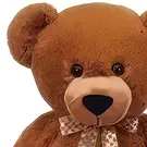 Bollullos de la Mitacion flowers  -  Brown Teddy Bear Flower Bouquet/Arrangement